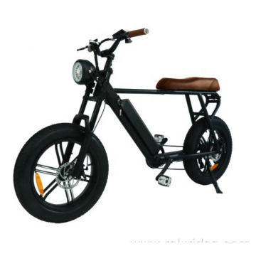 Aluminum frame Ultra-light body fast speed electric bicycle